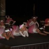 harlekin00009.jpg