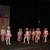harlekin00008.jpg