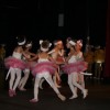 harlekin00013.jpg
