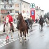 konji0031.jpg