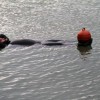 img_0406.jpg