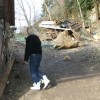 kodriceve_ogrozajo_skale_011.jpg