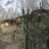 kodriceve_ogrozajo_skale_010.jpg