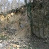 kodriceve_ogrozajo_skale_009.jpg