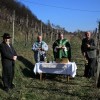 vincekovo_2011_52.jpg