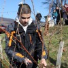vincekovo_2011_41.jpg