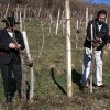 vincekovo_2011_77.jpg