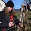vincekovo_2011_40.jpg