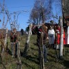 vincekovo_2011_35.jpg