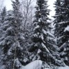 dsc_0332_000.jpg