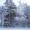 dsc_0505_000.jpg