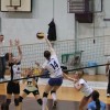 img_3433.jpg