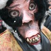 img_0712_000.jpg