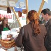 sejem_graben_2011_0313.jpg