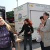 sejem_graben_2011_0296.jpg