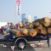 sejem_graben_2011_0305.jpg