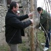 grajska_rez_v_sevnici025.jpg