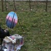 grajska_rez_v_sevnici016.jpg