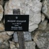 grajska_rez_v_sevnici039.jpg