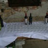 grajska_rez_v_sevnici019.jpg