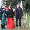 grajska_rez_v_sevnici030.jpg