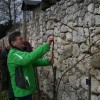 grajska_rez_v_sevnici042.jpg