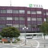 tilia.jpg