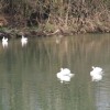 img_5112.jpg