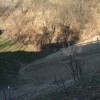 img_x.jpg