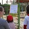 img_5268.jpg