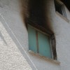 volovnik0002.jpg