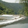 kolpa.jpg
