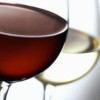 vino1.jpg