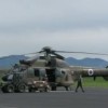 cougar.jpg