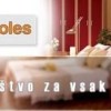 novoles_logo.jpg
