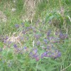 pohod_021.jpg