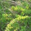 pohod_020.jpg
