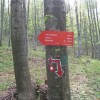 pohod_013.jpg