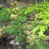 pohod_018.jpg