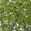 pohod_016.jpg