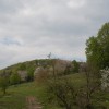 svisc_001.jpg
