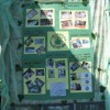 img_1541_000.jpg