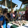 img_1570_000.jpg