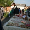 skovec_zasadil_lipo_ob_svetovnem_dnevu_zemlje003.jpg