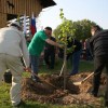 skovec_zasadil_lipo_ob_svetovnem_dnevu_zemlje018.jpg