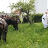 img_6907_000.jpg