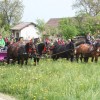 img_6893_000.jpg