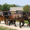 img_6881_000.jpg