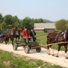 img_6874_000.jpg
