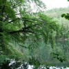 planinci_030.jpg